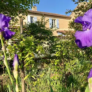 Le Petit Cochon Bed and breakfast